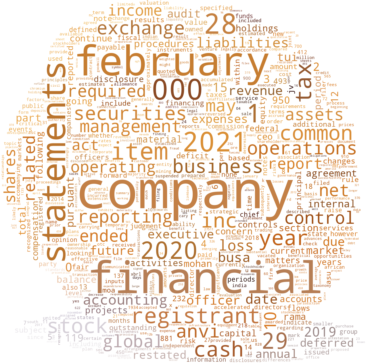 ANVIGLOBALHOLDINGSINC_10-K_20210609-231918.png