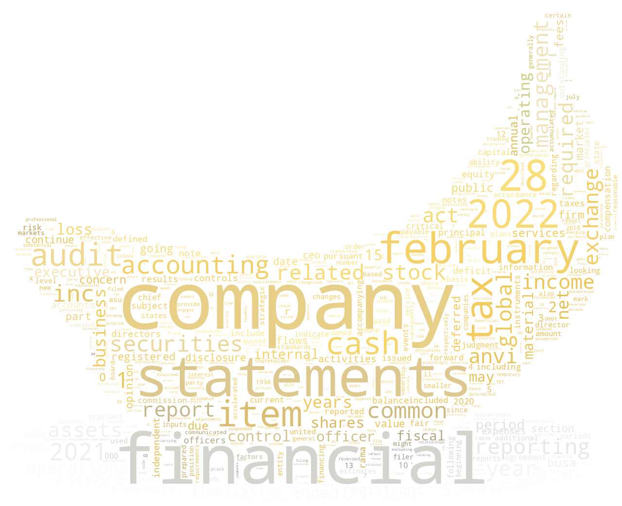 ANVIGLOBALHOLDINGSINC_10-K_20220609-231902.png