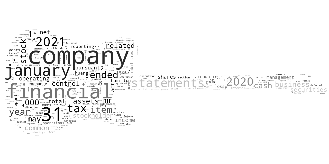 ARIONGROUPCORP_10-K_20210519-232004.png