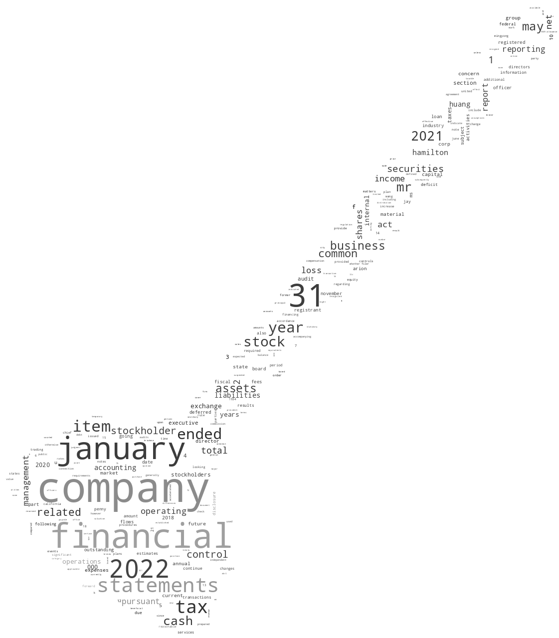 ARIONGROUPCORP_10-K_20220519-232107.png