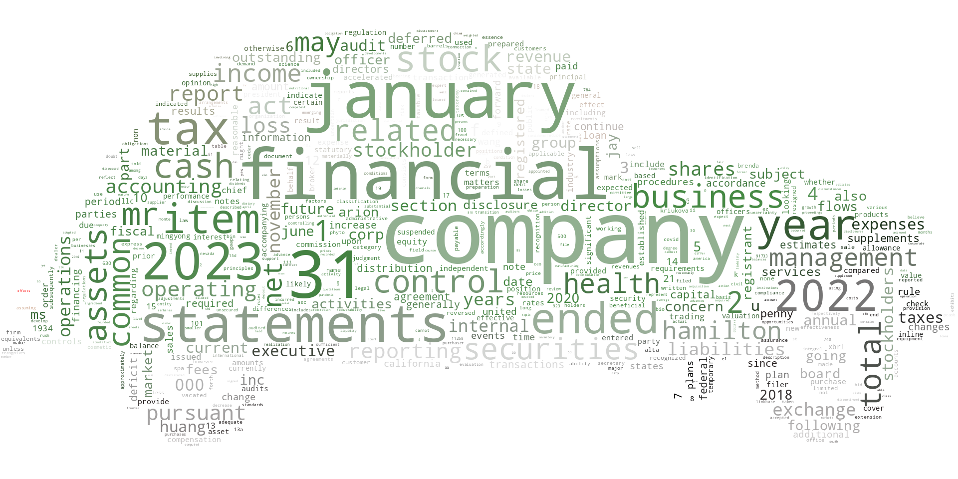 ARIONGROUPCORP_10-K_20230607-231625.png