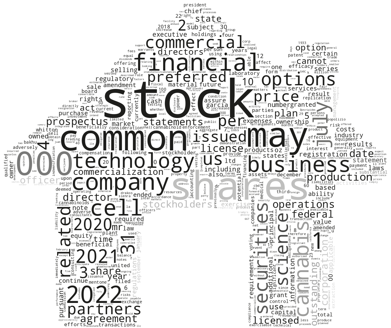 BakhuHoldingsCorp_S-1_20221130-232048.png
