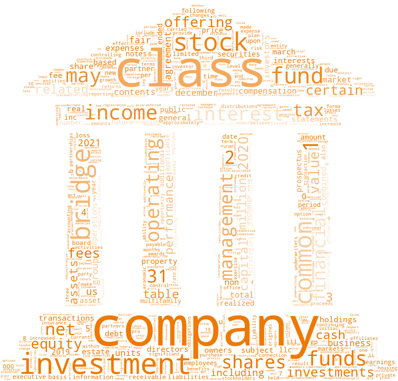 BridgeInvestmentGroupHoldingsInc_S-1_20210623-231645.png