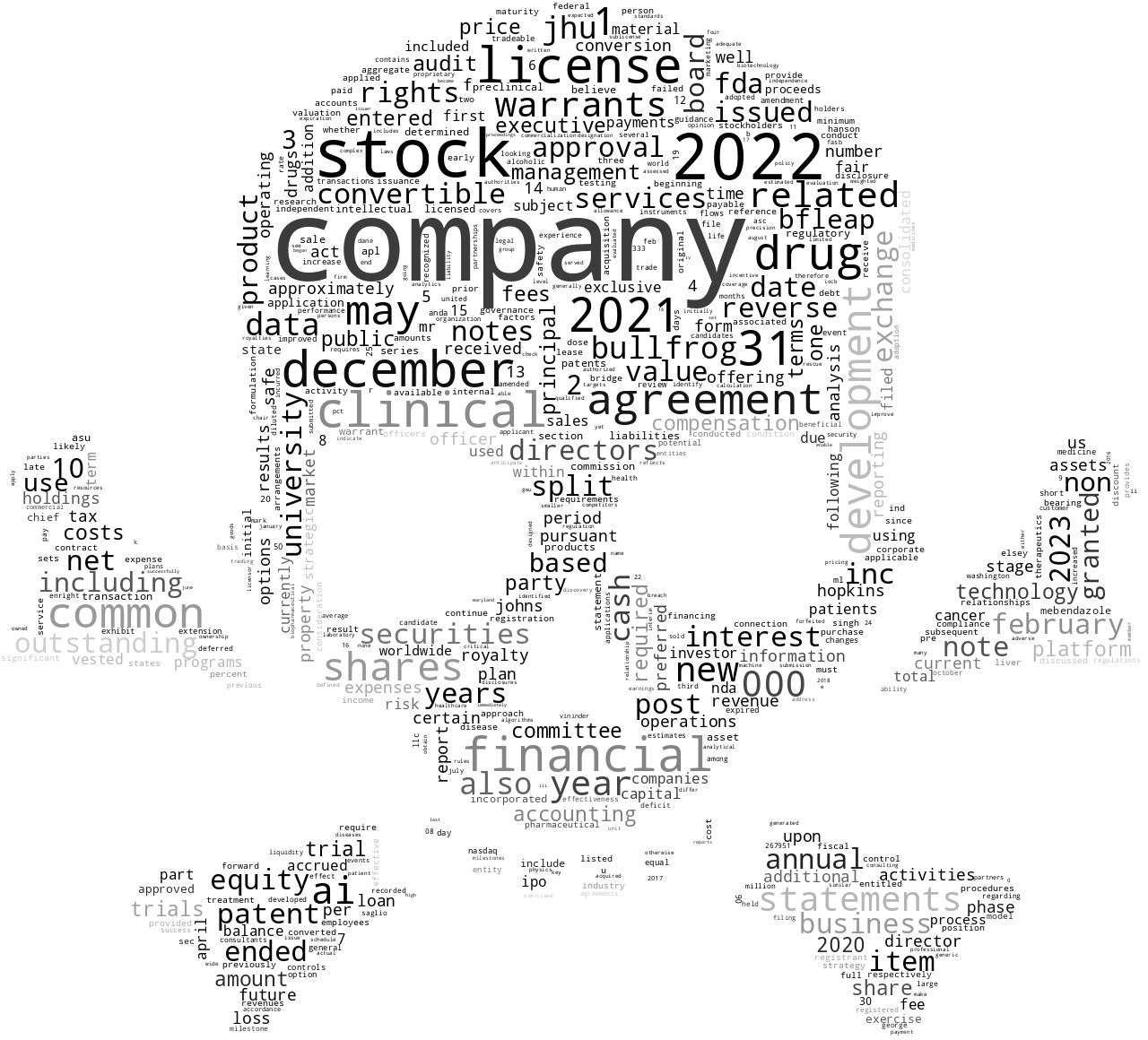 BullFrogAIHoldingsInc_10-K_20230426-233444.png