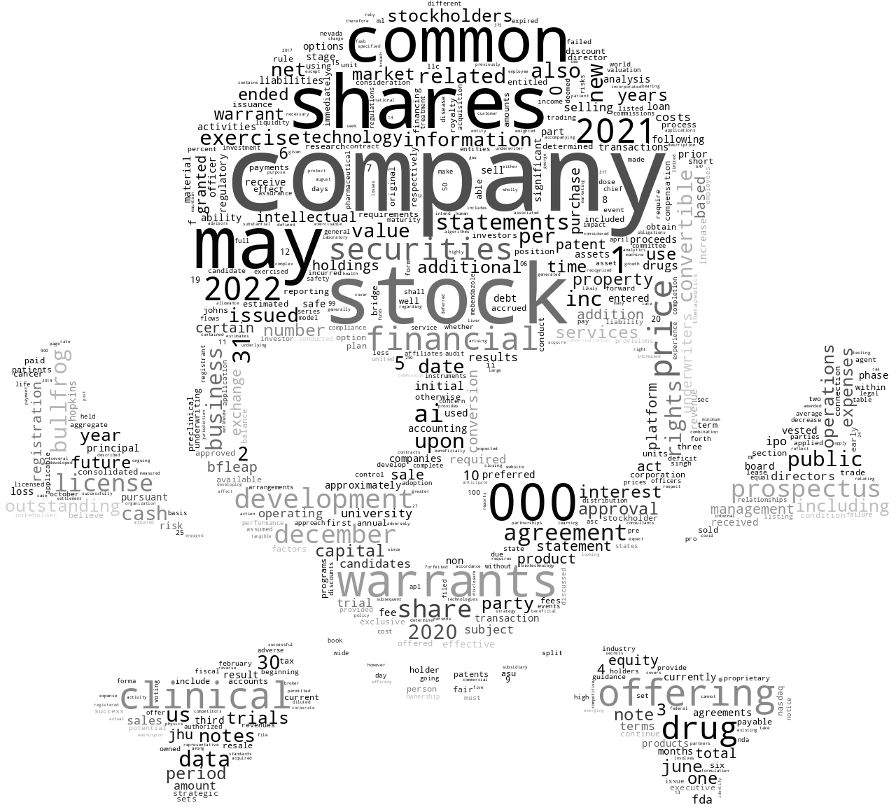 BullFrogAIHoldingsInc_S-1_20221020-233048.png