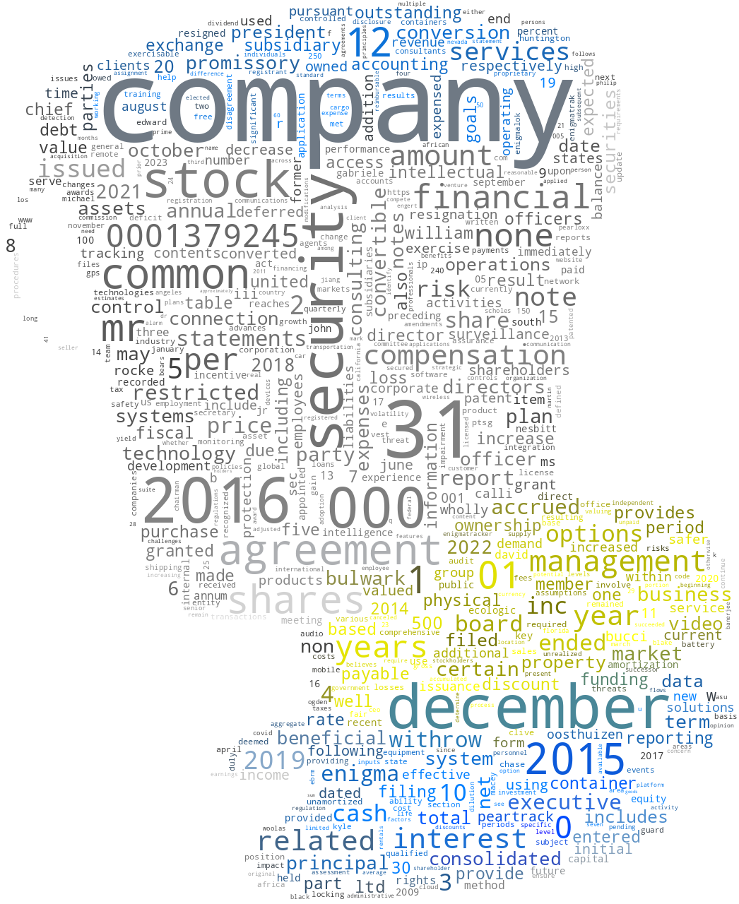 ENIGMA-BULWARKLTD_10-K_20230607-231657.png