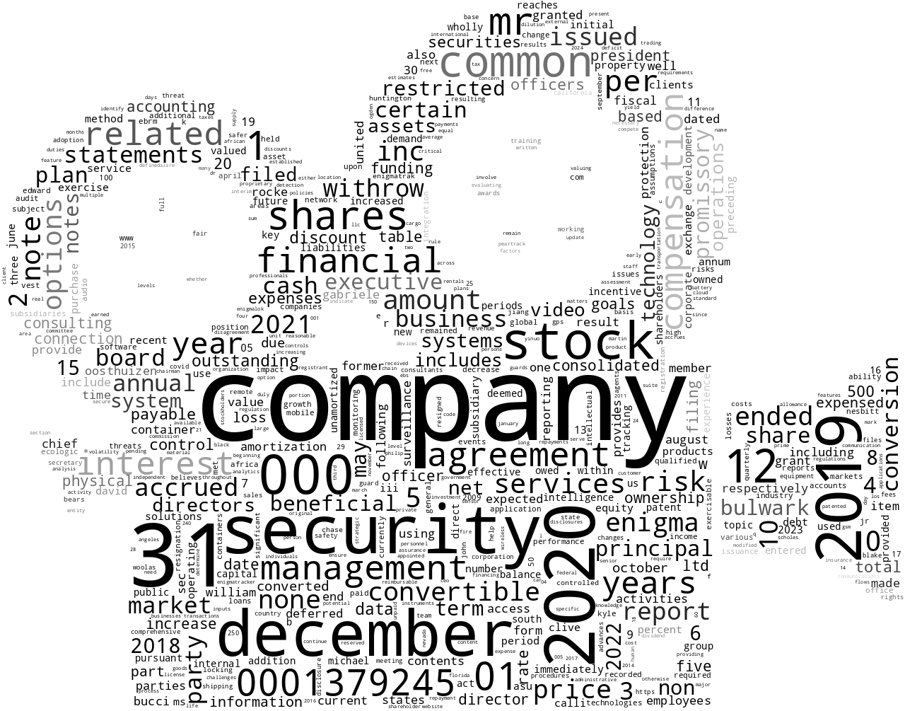 ENIGMA-BULWARKLTD_10-K_20230621-231901.png