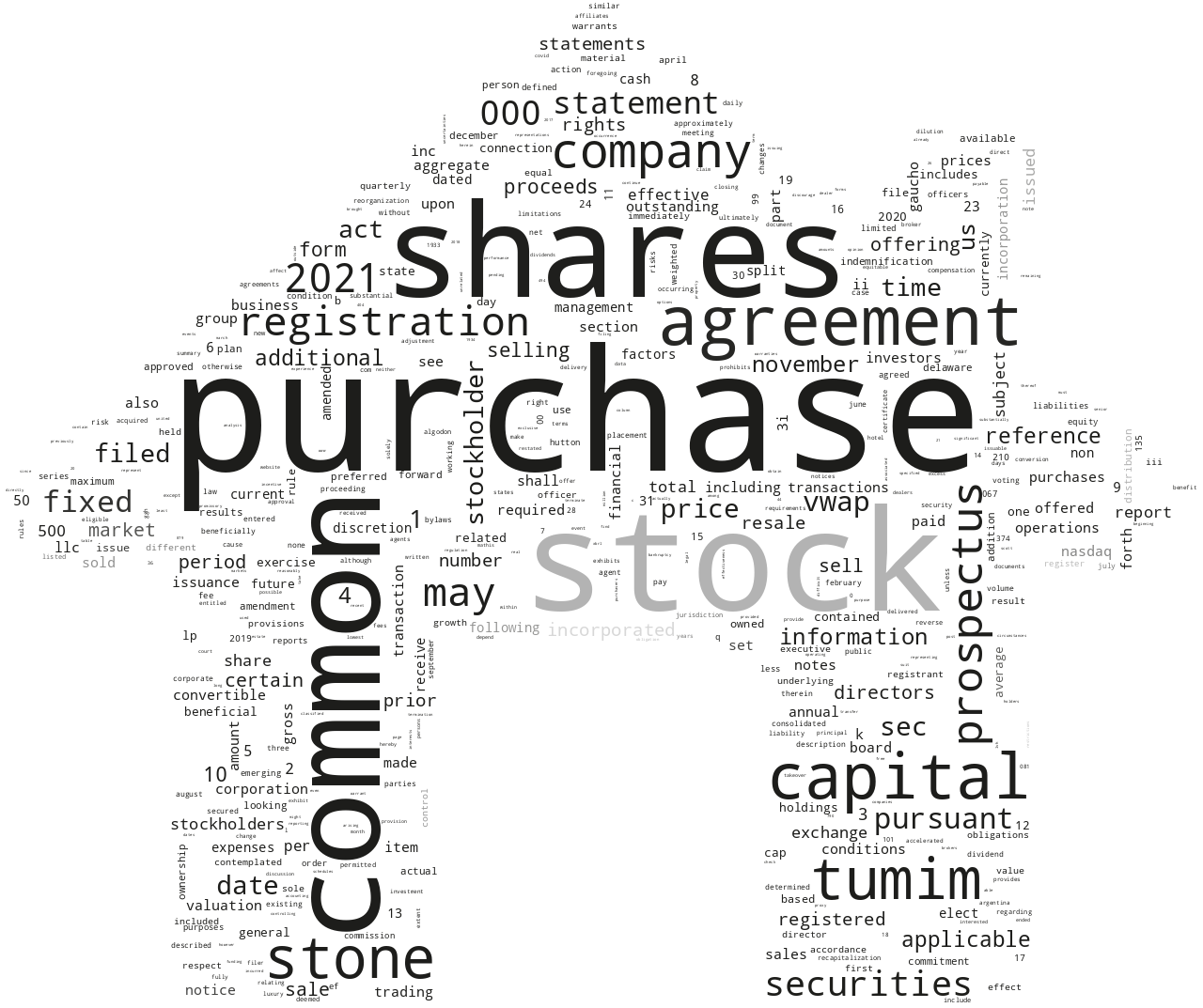 GauchoGroupHoldingsInc_S-1_20211125-232755.png