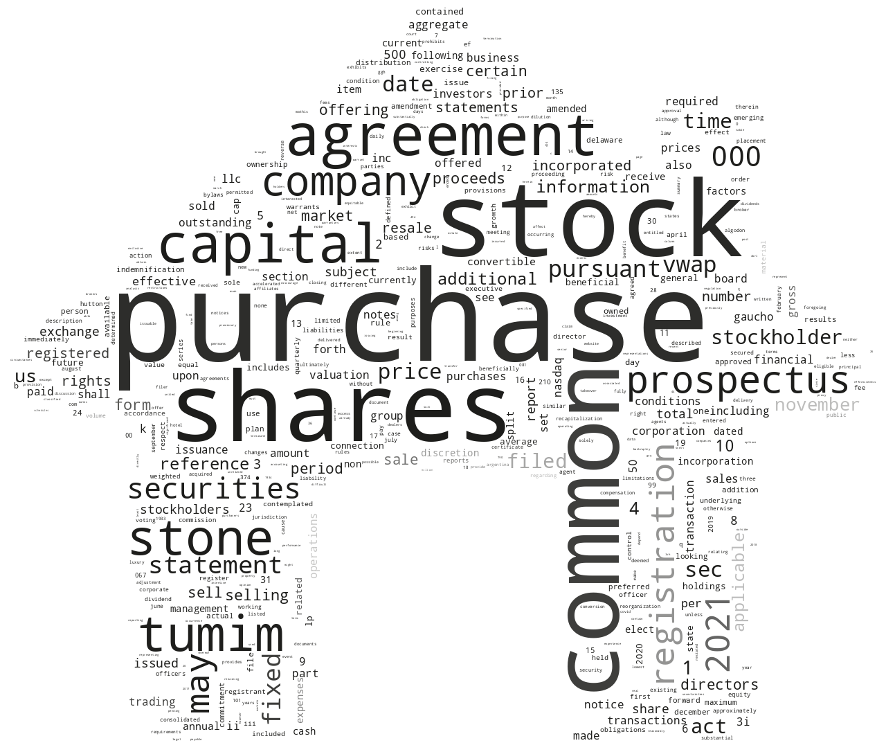 GauchoGroupHoldingsInc_S-1_20211126-231731.png