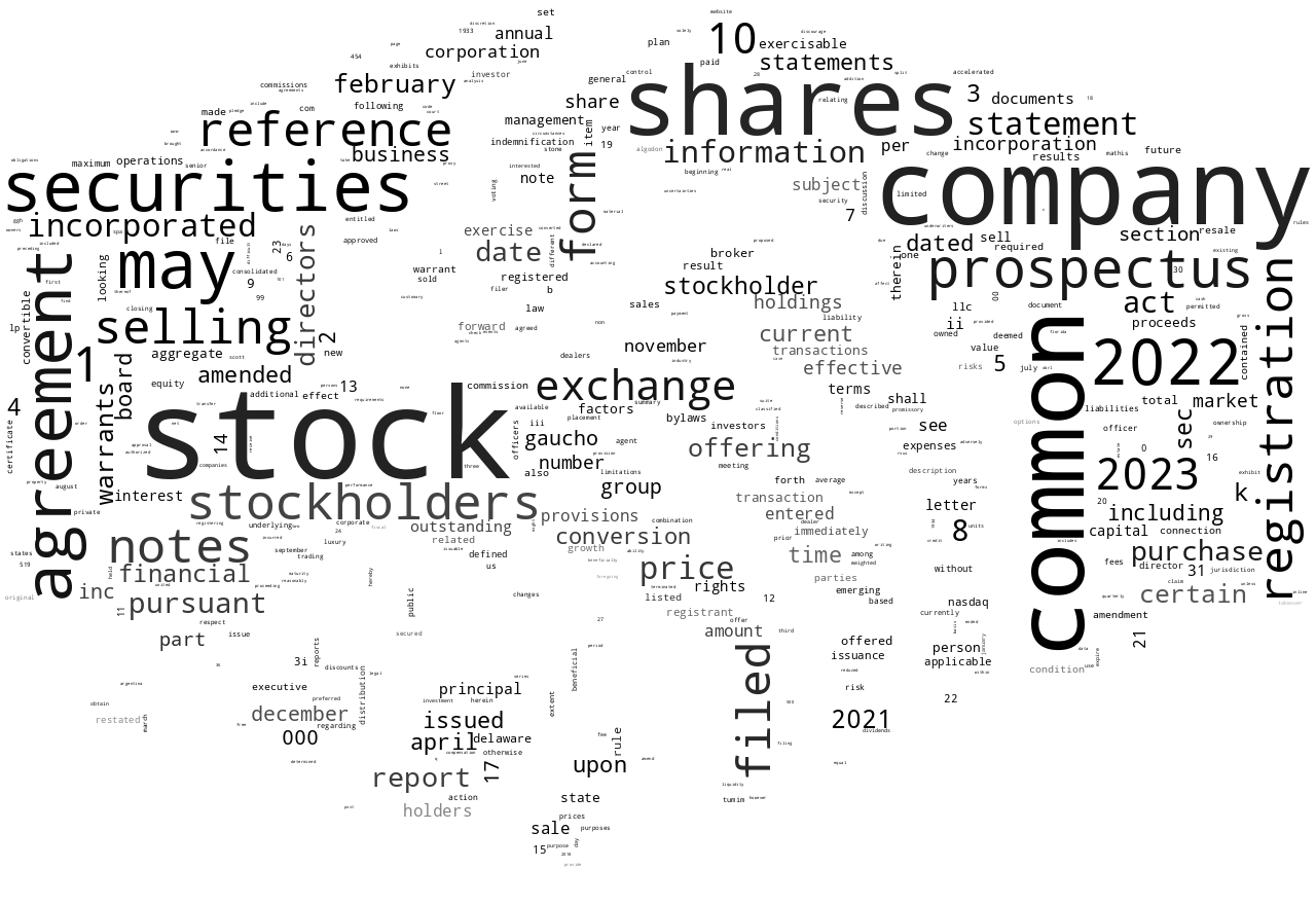 GauchoGroupHoldingsInc_S-1_20230419-232220.png