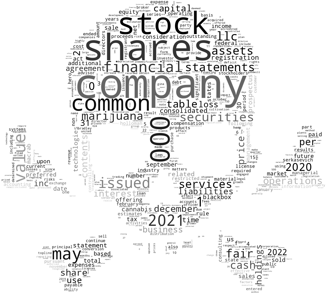HeroTechnologiesInc_S-1_20221209-232056.png
