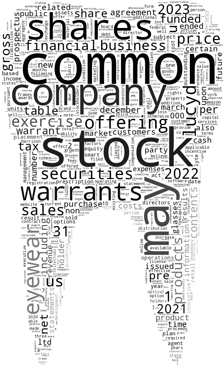 InnovativeEyewearInc_S-1_20230621-232022.png
