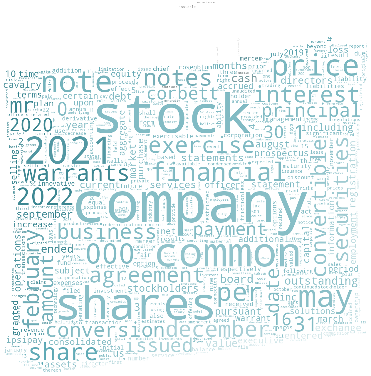 InnovativePaymentSolutionsInc_S-1_20230118-231733.png