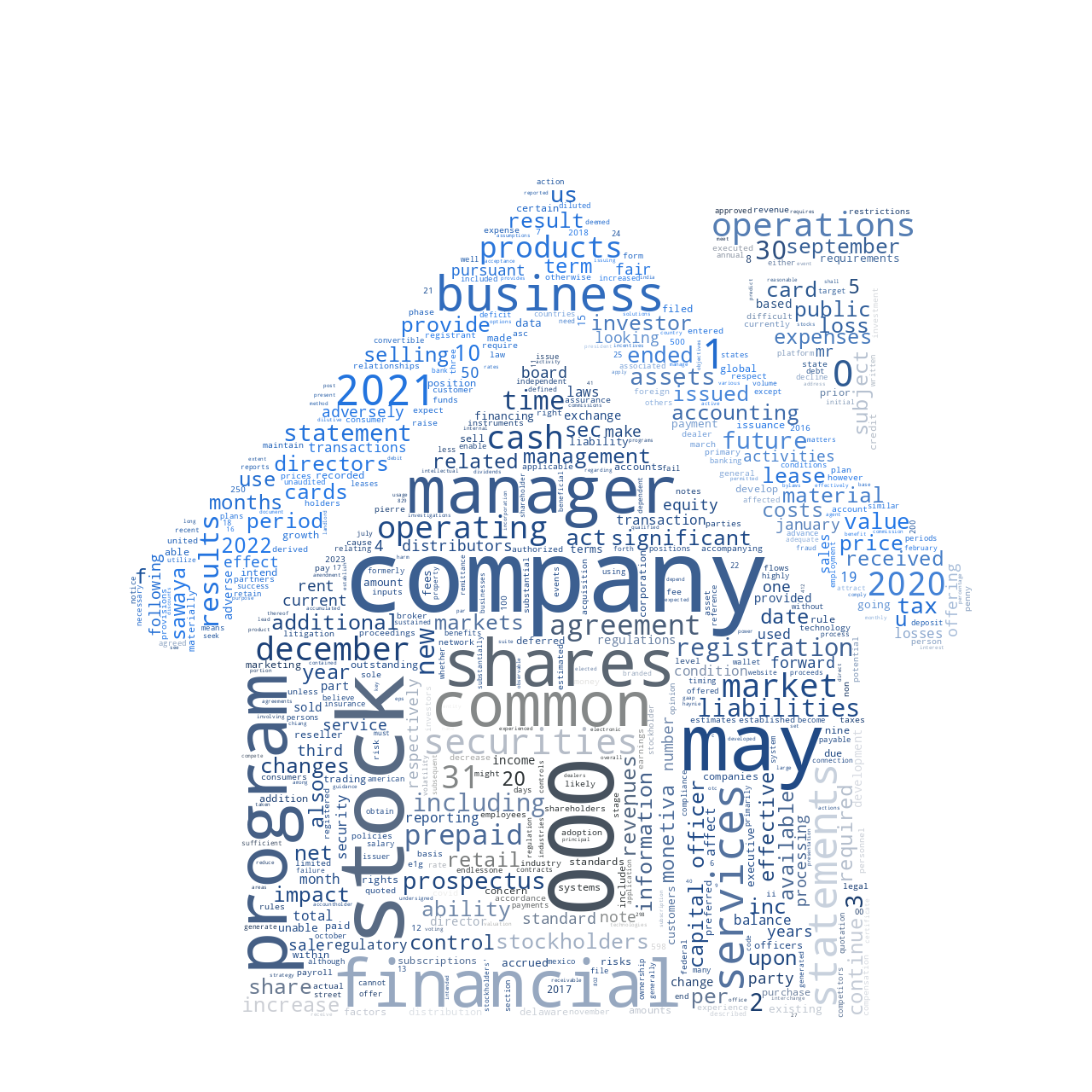 MonetivaInc_S-1_20230111-231818.png
