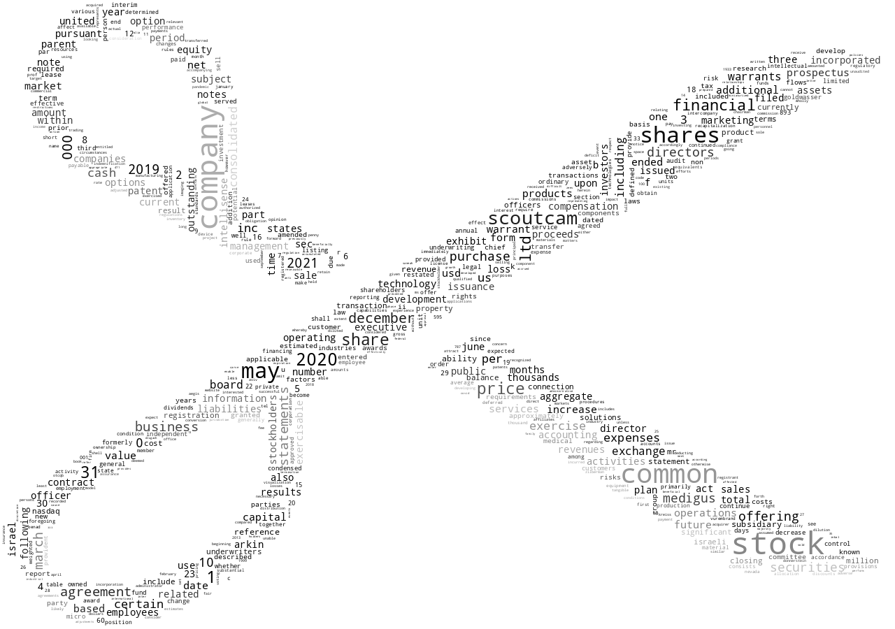 ScoutCamInc_S-1_20210629-231741.png