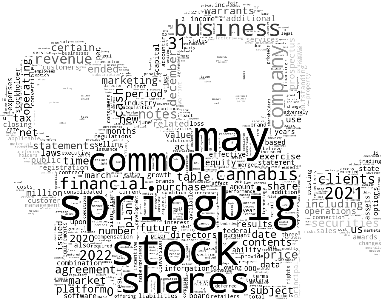 SpringBigHoldingsInc_S-1_20220704-232115.png