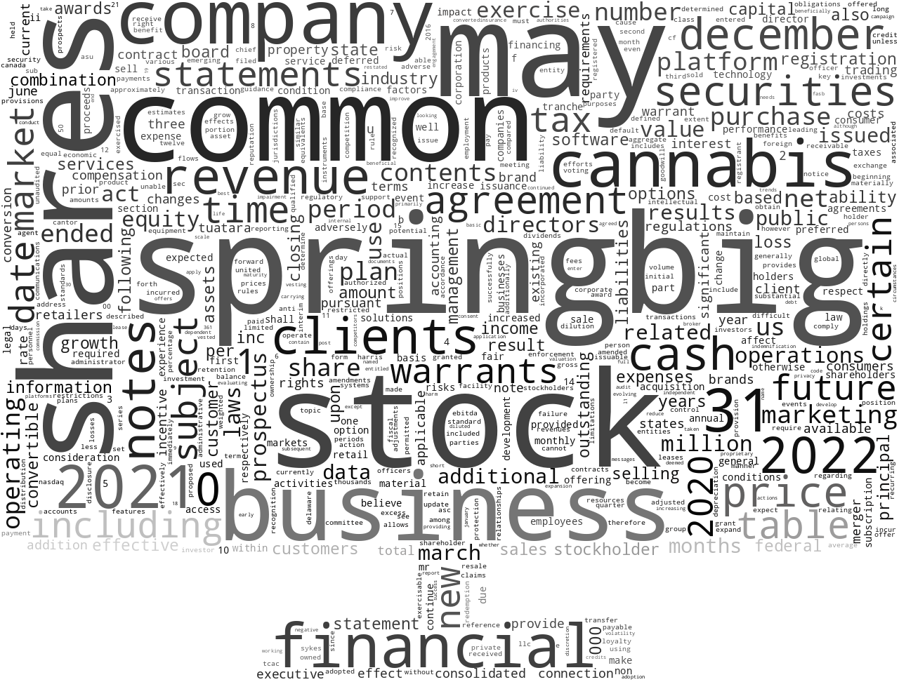 SpringBigHoldingsInc_S-1_20220705-232324.png
