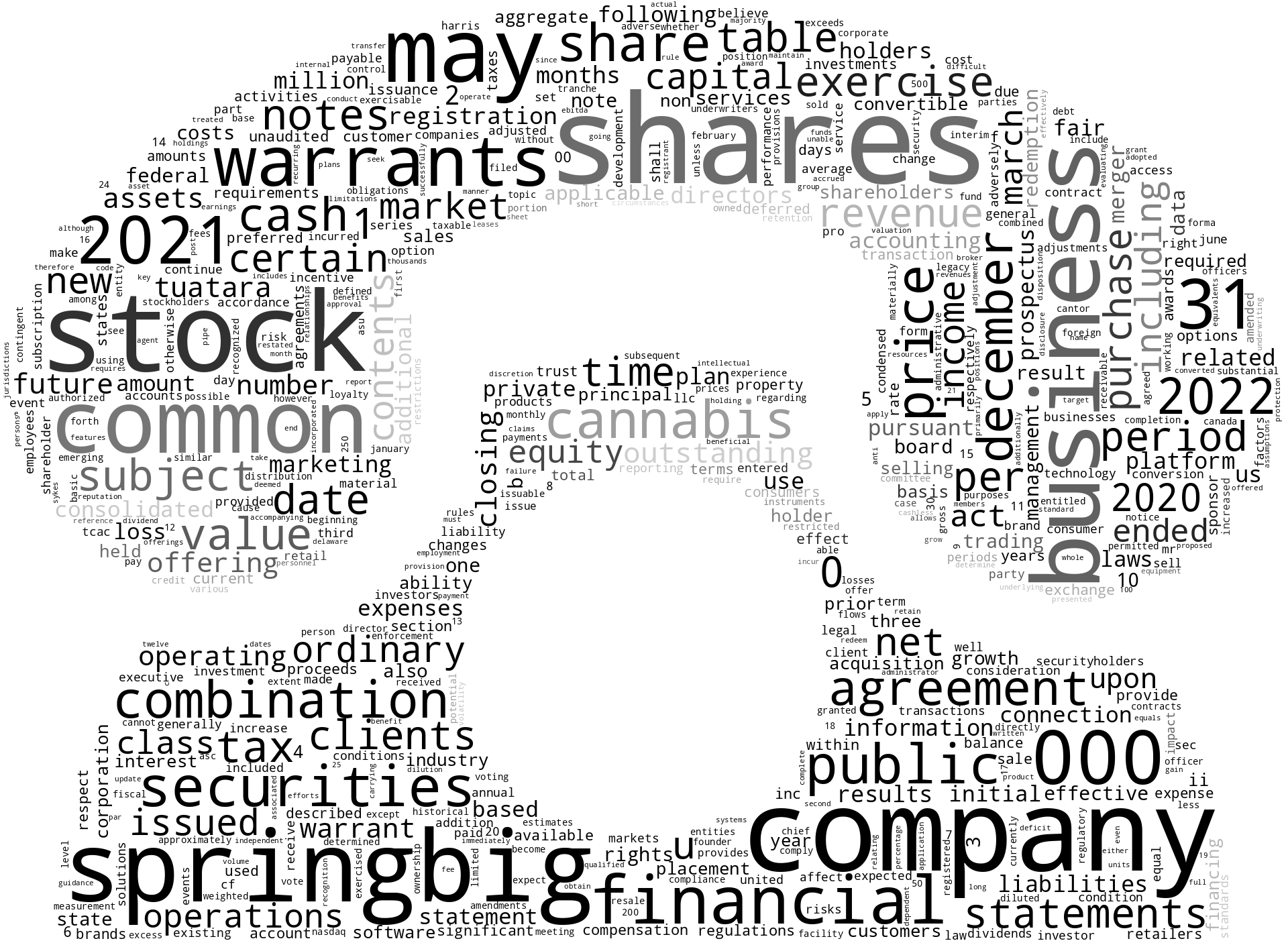 SpringBigHoldingsInc_S-1_20220718-232114.png