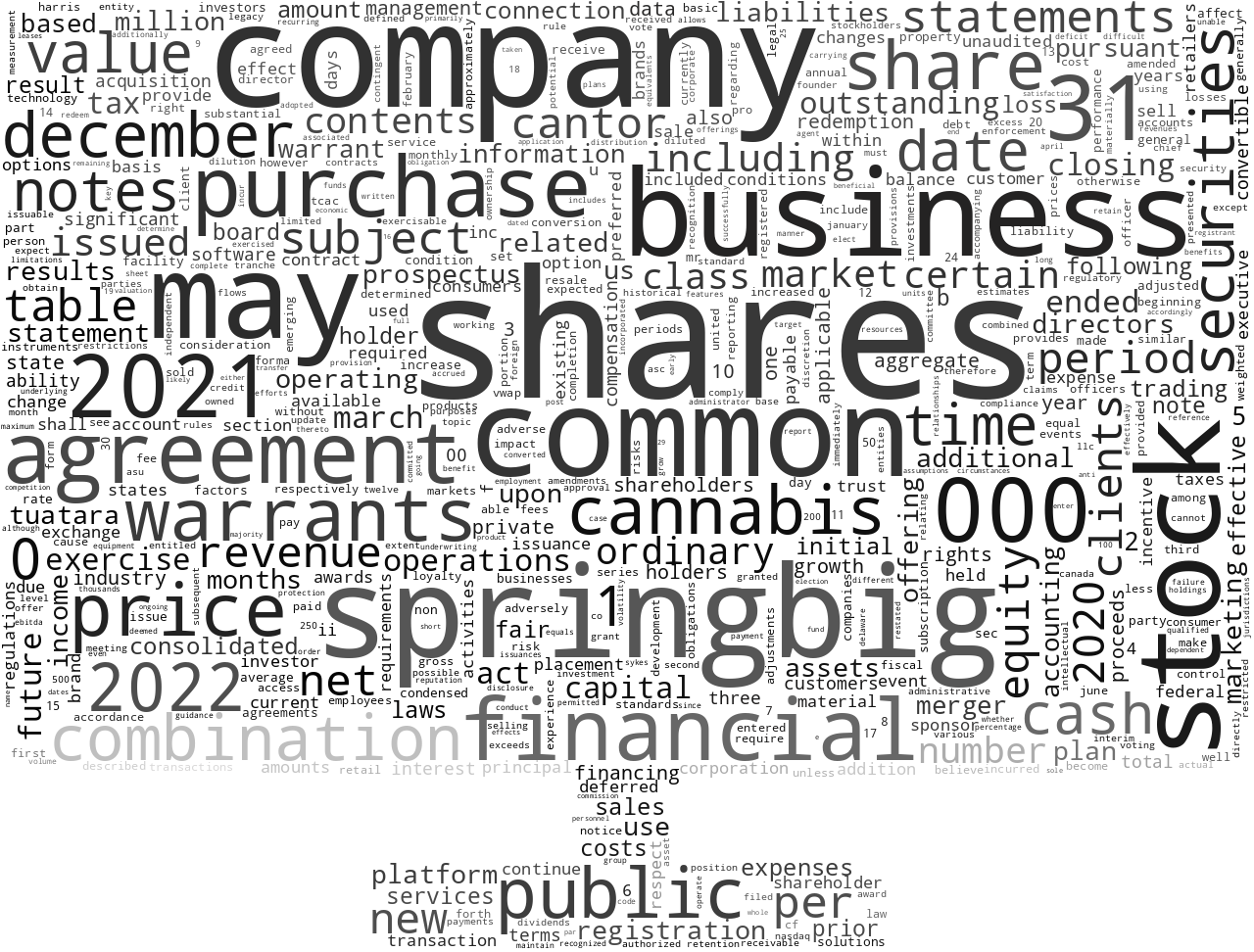 SpringBigHoldingsInc_S-1_20220725-232239.png