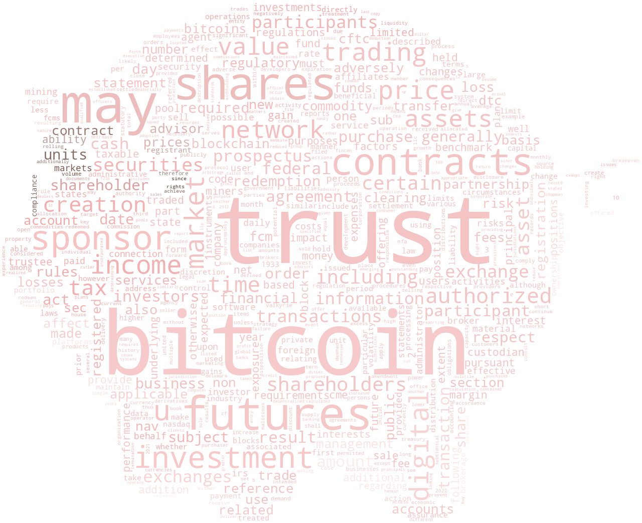 ValkyrieBitcoinFuturesFund_S-1_20220509-231950.png