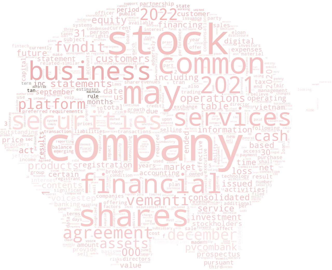 VemantiGroupInc_S-1_20221209-232031.png