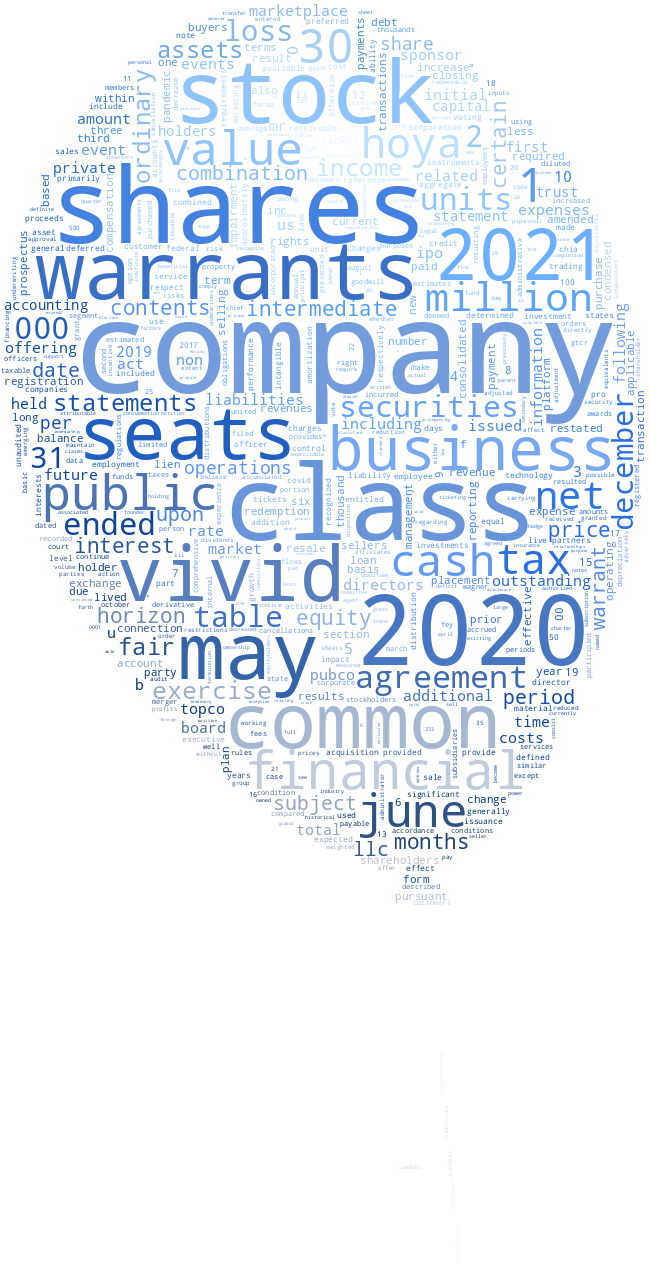 VividSeatsInc_S-1_20211108-232006.png